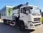 Truck-Mounted Crane (Dongfeng Truck)